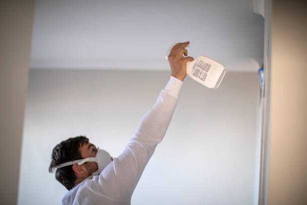 Best Home Mold Removal  in Van Alstyne, TX