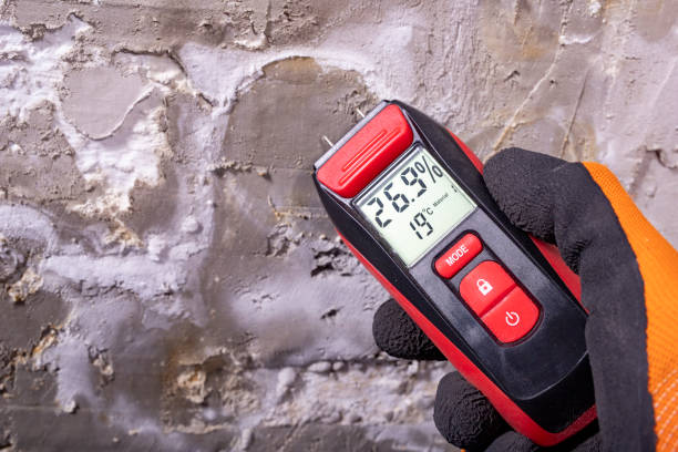 Best Certified Mold Removal  in Van Alstyne, TX