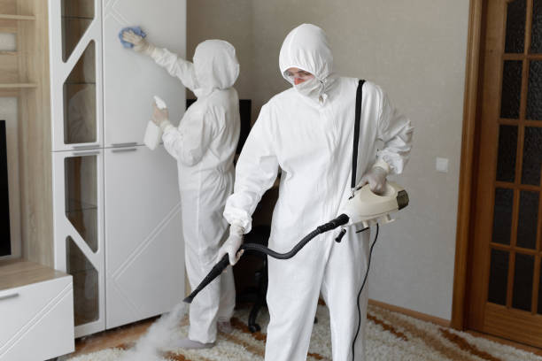 Best Mold Testing  in Van Alstyne, TX