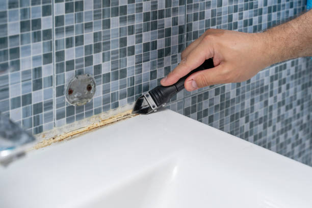 Best Attic Mold Removal  in Van Alstyne, TX