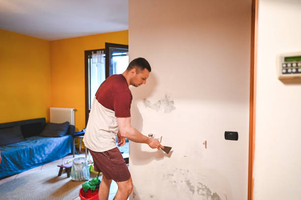 Best Mold Removal Near Me  in Van Alstyne, TX