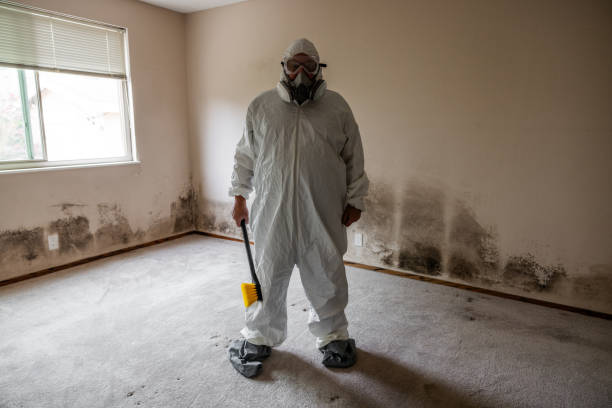 Best Water Damage Restoration  in Van Alstyne, TX
